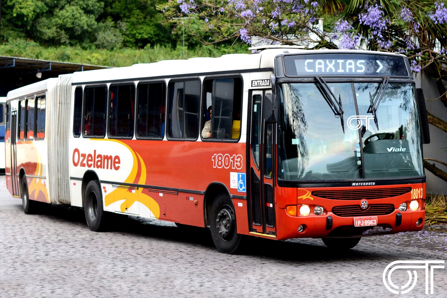 Ozelame Transportes 18013